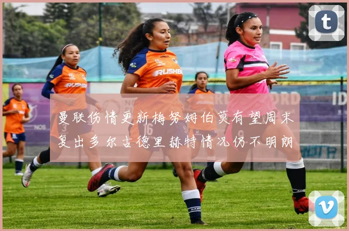 曼联伤情更新梅努姆伯莫有望周末复出多尔古德里赫特情况仍不明朗